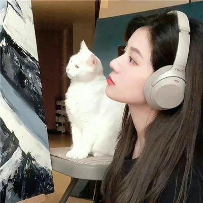 姐妹四城