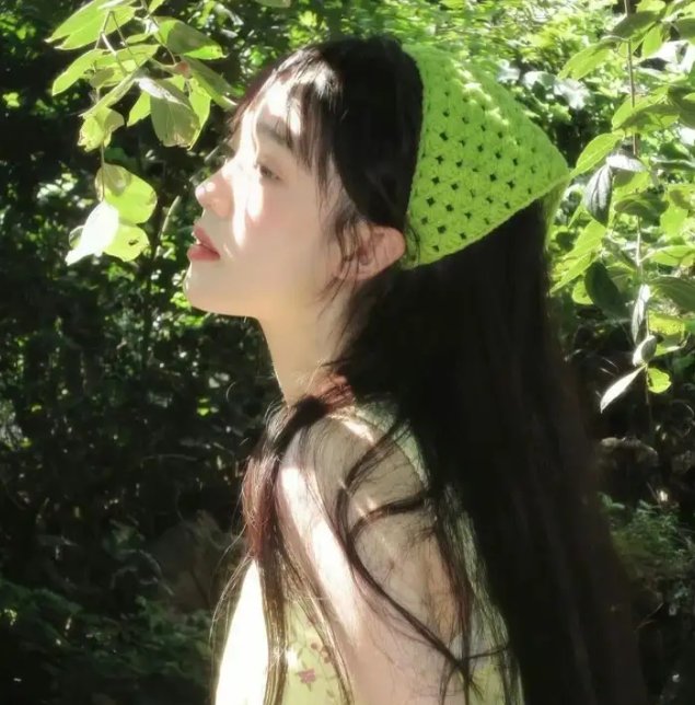 法网追凶第一季